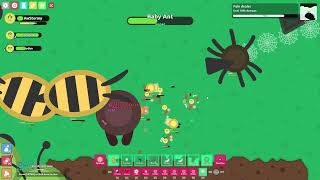 Super Baby Ant Greed in Spiral! Florr.io