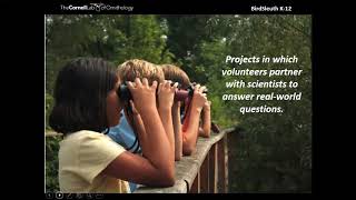 Bird ID and Citizen Science for Beginners