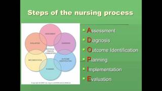 Nursing Process 1