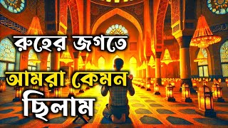 রূহের জগতে আমরা কেমন ছিলাম? || মৃত্যুর পর আমাদের আত্মা কোথায় থাকবে?