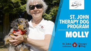 St. John Ambulance Therapy Dog Program - Molly | Subaru Adventure On