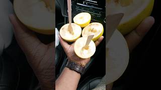 അബിയു കഴിക്കാൻ വരുന്നോ? 💛 #abiu #shorts #trending #youtubeshorts #fruits #homegarden #shortvideo