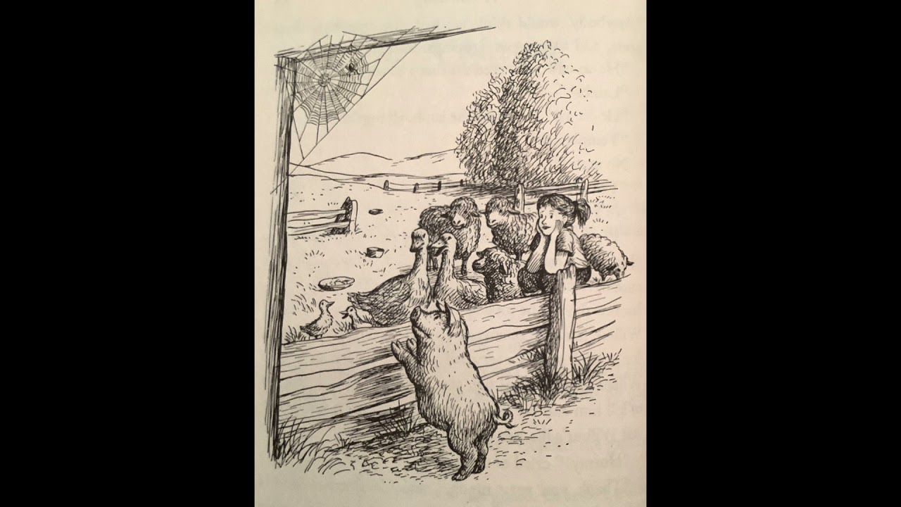 Charlotte S Web Audiobook Chapter Twelve Storytimewithgiji Youtube