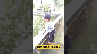 lihat ikan di kolam... #shorts #kolamikan