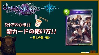 [3分でわかる]銃士の誓いの使い方[shadowverse/シャドウバース][十禍闘争]