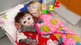 🙉Animals Home Monkey baby Bi Bon helps dad cook and take care of her younger brother | Funny Video