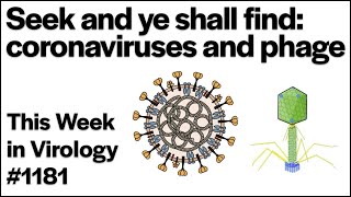 TWiV 1181: Seek and ye shall find, coronaviruses and phage