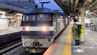 【ジョイント音最高！】JR貨物EF210形100番台167号機（旧塗装）＋コキ26両が京都駅6番線を通過するシーン（65レ・吹A129・コンテナ輸送）2024.3.20