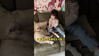 Cat and Baby  我想知道哪个是她最真实的状态？🤣🐱#cat #catandbaby #shorts