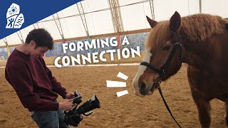 Saddles, Stables, and Soulful Connections: Discovering Legacy Stables and Karin's Horse Connection