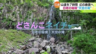 どさんこネイチャー“天空の滝を目指す”【どさんこワイド179】2023.06.14放送