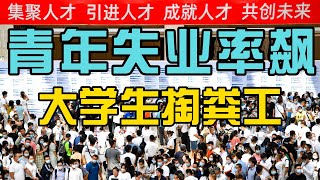 大学毕业生就业塌房！天津招聘本科“掏粪工”/修文就事论世/20241221