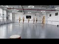 beautiful ballet performance