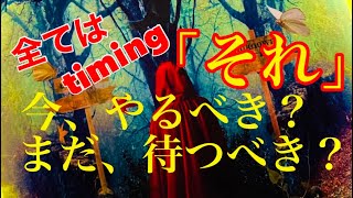 【タロット】それ、今がタイミング？それとも、まだ時期尚早？