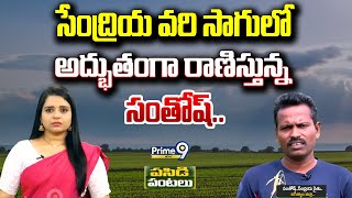 సేంద్రియ వరి సాగులో అద్భుతంగా రాణిస్తున్న సంతోష్.. | Pasidi Pantalu | Prime9 News