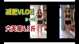 【多肉】减肥VLOG|第十六期|狂吃过后 六天瘦4.3斤？|代餐奶昔轻断食|16653.35