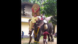 Latest Video of Pananchery Parthan (പാണഞ്ചേരി പാർത്ഥൻ)