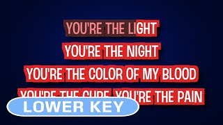 Ellie Goulding - Love Me Like You Do | Karaoke Lower Key