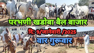 परभणी खंडोबा बैल बाजार | Parbhani Bail Bazar | ox market | Akash Suryawanshi Vlog