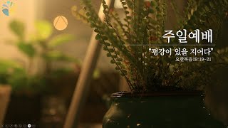 [푸른나무교회]ㅣ2024.04.07ㅣ주일 예배ㅣ심민보 목사