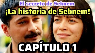 CAPÍTULO 1 EL SECRETO DE SEBNEM [Sahane Hayatim en español]