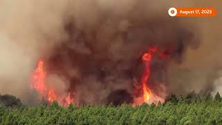 Spain: Wildfires rip through Tenerife