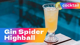 Gin Spider Highball cocktail recipe / Cocktail for a raucous party