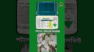 অ্যামিস্টার সমস্ত ফসল সবজির ছত্রাকনাশক Amistar a fungicide for all vegetables and fruit #fungicides