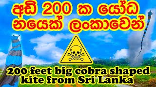 Cobra shaped kite (200 feet , 15 Hours work) අඩි 200 දිග නයි හැඩති සරුංගලයක්