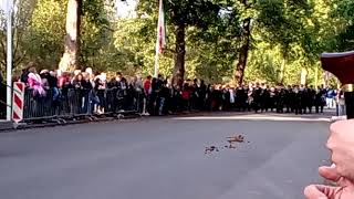 Fahnen Schwenker sowie die Blumenhörner werden dem König gezeigt