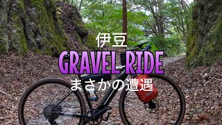 【E-BIKE】伊豆グラベルライドでまさかの遭遇【グラベルバイク】