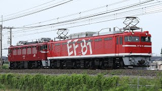 【レインボー牽引】EF81-95+ED75-757 蓮田〜東大宮通過