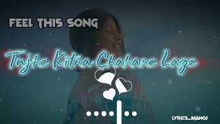 Emotional Vibes: Tujhe Kitna Chahane Lage Ham Lofi song 🎧🎧🎧