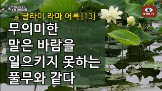 마음으로 읽는 달라이라마_달라이 라마 어록[13]_4. 무의미한 말은 바람을 일으키지 못하는 풀무와 같다_1~7