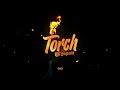 NTC Youngwerkk - Torch (Official Visualizer)