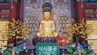 [진리의 실천도량 달마사] 10월 30일 사시불공