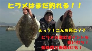 ヒラメはまだ釣れる！！ヒラメの潜むポイントを狙い打ち！