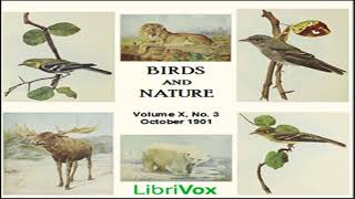 Birds and Nature, Vol. X, No 3, October 1901 by VARIOUS read by Various | Full Audio Book