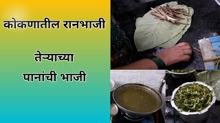 कोकणातील रानभाजी तेऱ्याची भाजी | kokanatil ranbhaji | teryachi bhaji | kokanatil pavsali ranbhaji