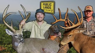 Bow Hunting Public Land Mountain Bucks | Self-Filmed Hunt