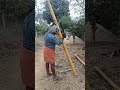 മുള വെട്ടി കൈ മുറിഞ്ഞു bamboo plants nature harvesting