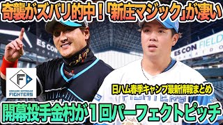 【日ハム】奇襲がズバリ的中「新庄マジック」がすごい開幕投手の金村１回パーフェクト順調調整　新庄監督　新庄マジック　金村尚真　日本ハム　日ハム　春季キャンプ