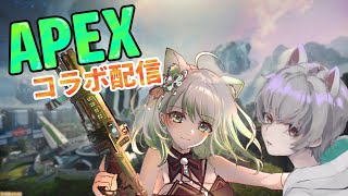 【APEX】のんびりこらぼんぼん