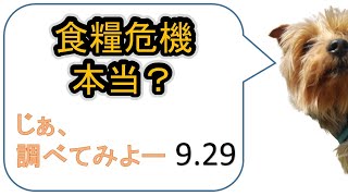 食糧危機はいつから？本当なの？調べてみよーっと。備蓄の準備にご活用ください。9月29日調べ。