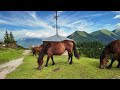 🇩🇪 wank 25 km bergwanderung farchant zum aussichtsberg im estergebirge bei garmisch partenkirchen