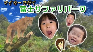 【動物園】富士サファリパークのサファリゾーンに行ったよ😊