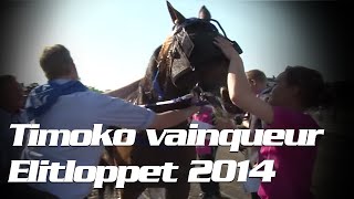 La victoire de Timoko à l'Elitloppet 2014