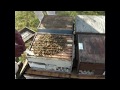 Fall Oxalic Acid Varroa Mite Treatment - Part 2