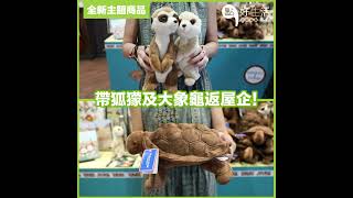 海洋公園動物展館-與小狐獴＋大象龜近距離接觸！