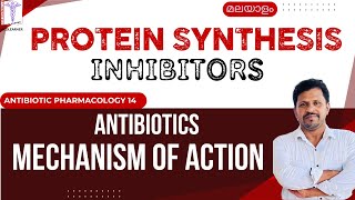 Antibiotics mode of action Malayalam Protein synthesis Inhibitors mechanism of action Malayalam